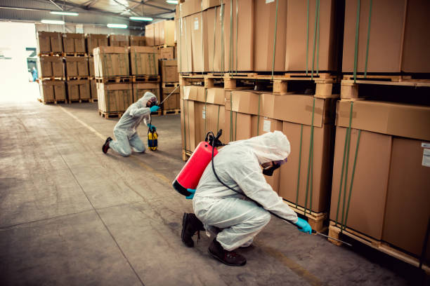 Best Flea Control Services  in Clarkton, MO