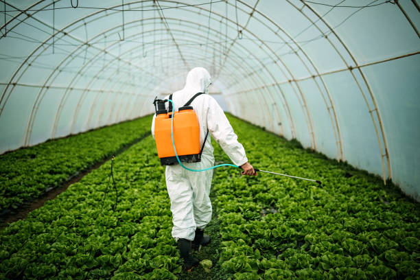 Best Pest Removal Services  in Clarkton, MO