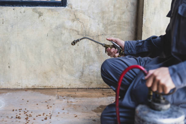 Professional Pest Control in Clarkton, MO